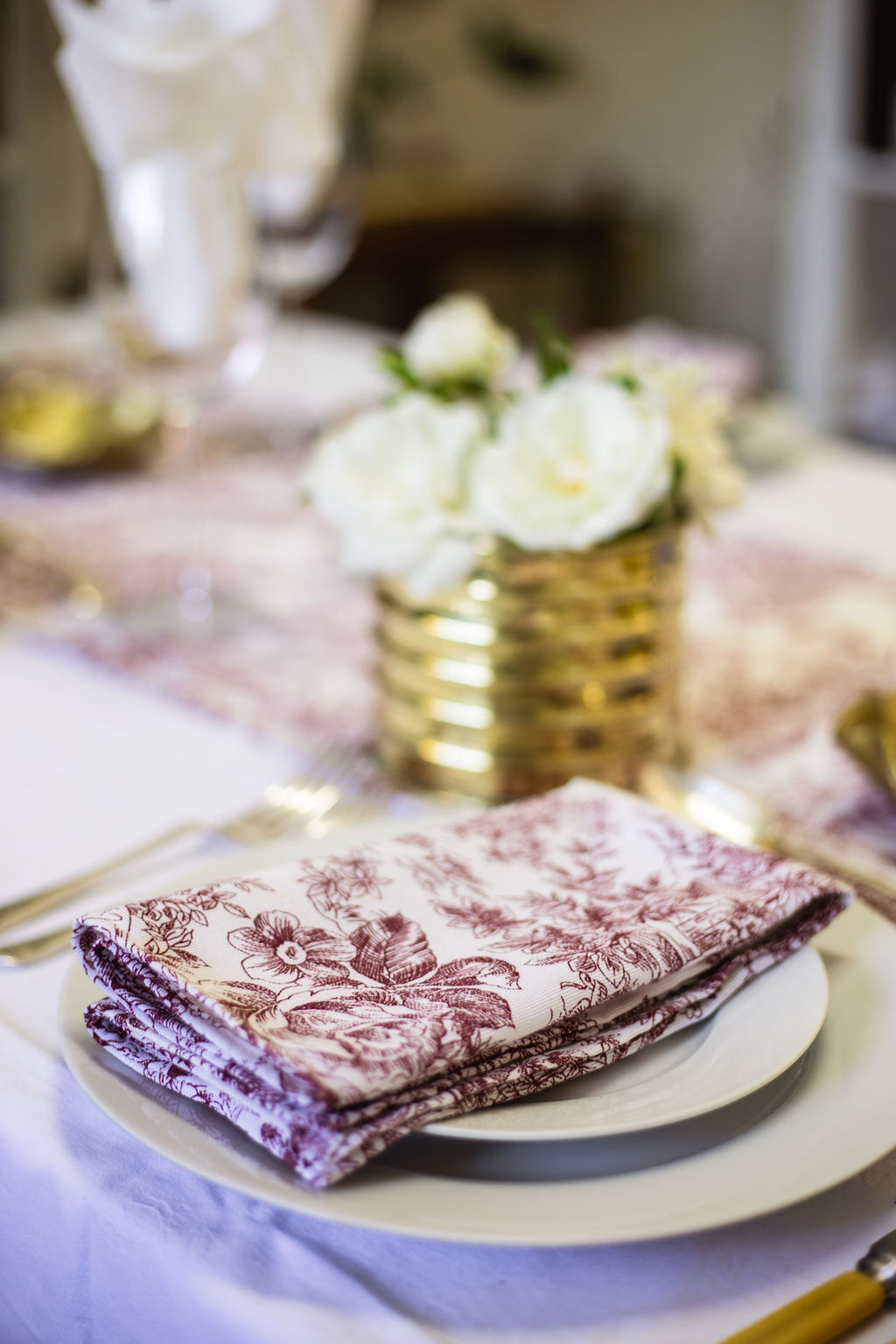 KAROO RANCHING Toile 100% Cotton Napkins - 45cm x 45cm