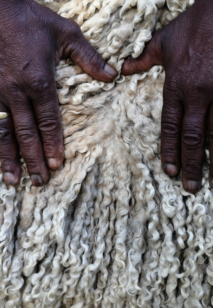 KAROO RANCHING Mohair Blankets - Image 22