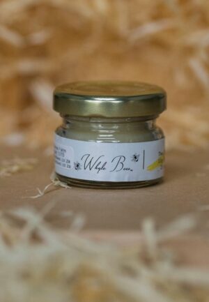 Whyle Bees Lip Balm - 25ml - Assorted